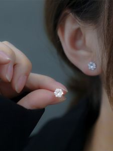 Trendy S925 Silver Needle Snowflake Ear Studs New 2025 Small Elegant High-End Versatile Ear Jewelry for Women