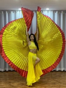 Adult Childrens Double Layer Large Red Gold Wings Eastern Dance Belly Dance Props Colorful Dance Accessories Gold Wings
