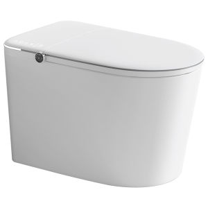 TEM | Automatic Flush and Foam Shield Intelligent Toilet