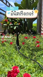 50 เซนติเมตร สปริงเกอร์ มินิสปริงเกอร์ พร้อมก้านปักยาว ส่งเร็ว และสายโมโครยาว 1 เมตร