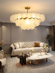 Elegant & Luxurious Chandelier Main Light