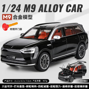 Caisilisi Question M9 Alloy Car Model 1/24 Turning Shock Absorption Toy Realistic Automobile Collectible Boys Display Piece