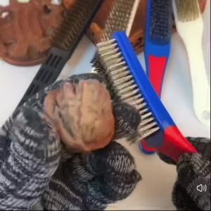 Wire Brush Duty Stainless Bristles with Plastic Handle Grip for Rust Wielding Slag Dirt & Paint Scrubbing with Deep Cleaning