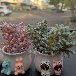 Pot Bunga Salju Fuji Premium Pajangan Dashboard Mobil Car Tanaman Hiasan