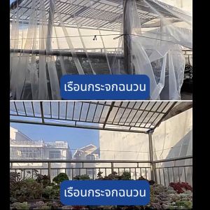 ฟิล์มพลาสติกเรือนกระจกอเนกประสงค์ พลาสติก PE เกรด A หน้ากว้าง 3/4/5/6 เมตร หนา 120/150 ไมครอน กันรังสี UV ได้ถึง 7% กันแดด กันลม กันฝน ทนทาน อายุการใช้งานยาวนานไม่ เสียหายง่าย ใช้ในบ่อปูพลาสติก เรือนกระจกพลาสติกใสพร้อมหลังคากันน้ำ