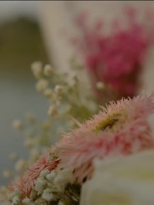 SCENABELLA | Nước Hoa Nữ Hương Nhẹ Dài Lâu
