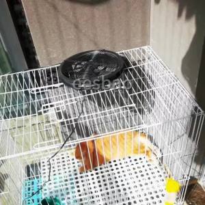 15W 25W Outdoor Solar Exhaust Fan Kit Weather Resistant Solar Panel Ventilation Air Cooling System for Greenhouse Chicken Coop
