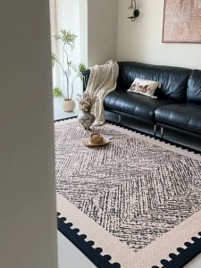 Soft Area Rug Anti Slip Carpet for Living Room Bedroom Washable Floor Mat Home Decor