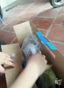 Quạt Sạc Tích Điện MINI FAN JR-5580 -DC2190 - Quạt Sạc Mini Đèn Led 2 chế độ sáng