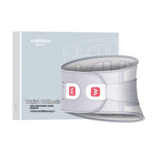 wellday | Waist Support Brace Light