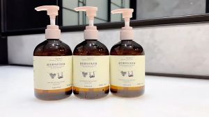 PanPan 內褲洗衣液 去血渍去黄除菌抑菌持久留香洗衣液 Lingerie Laundry Liquid 300ml Underwear Detergent Anti-bacterial Lingerie Detergents