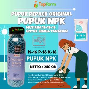 Pupuk Mutiara Penyubur Tanaman / Pupuk Npk Meroke / Pupuk Mutiara Biru 1kg / Pupuk Mutiara Npk 16 16 16 / Pupuk Mutiara Pelebat Buah