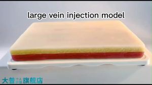 Silicone Human Skin Suture Training Model Venipuncture Injection Practice Model
