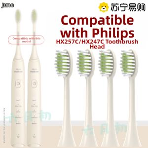 Philips HX2471 Electric Toothbrush Head Replacement Compatible with HX2571/HX257C/HX247C Deep Cleaning Adult Hardness Grade