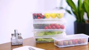 Food Storage Containers Refrigerator Classified Organizer Case with Removable Drain Plate and Lid Plastic Stackable Box Keep Fresh for Fish Meat Vegetables Fruits