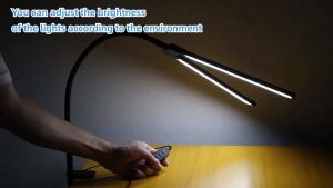 10 Brightness Lampu Meja Study Table Light Double Head Lamp LED Dimmable Desk PC Monitor Lighting Reading Belajar Murah