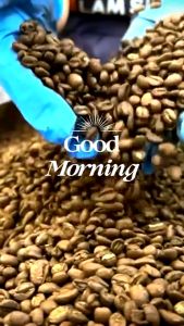 3 X 150gm Taster Pack / Charcoal Roast Coffee Bean (House Blend)（南昇咖啡 Lam Sing Coffee)