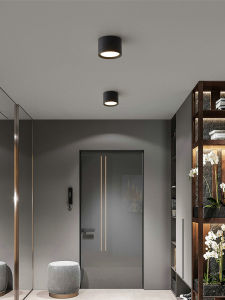 AODN | Simple Modern Small Surface Mounted Hallway Entry Downlight