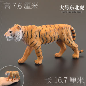Solid Animal Model Toy Realistic Wild Animal Northeast Tiger Siberian Tiger Gift Display Piece for Children over 3 Years Old