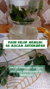 Teh Seduh Daun Kelor Organik 100% Asli & Alami 40gr | Moringa Tea / Teh Daun Kelor 40gr Grade A Shafid