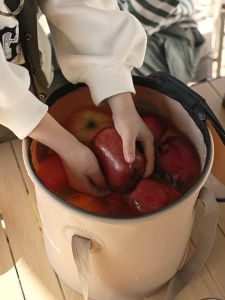 Naturehike Foldable Round Bucket: Durable Outdoor Gear & Compact Storage Solution