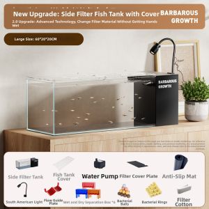 Tailwise | New Desktop Aquarium Ecosystem Landscaping Water Filtration Oxygen Production