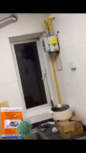 States My Favorite Food No mice with 500 square meters ปลอดภัย ใช้งานง่าย ตายจริง เป็นมิตรกับสิ่งแวดล้อม ยาบ้าน mouse med