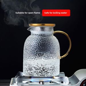 DIHUANTUO | Thick Glass Water Thermos