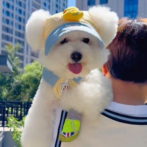 Dog Hat Sun Hat Summer Puppy Sun Protection Hat Exposed Ears Bucket Hat Small Size Dogs Teddy Bichon Sun Hat