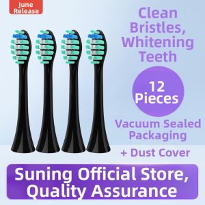 DenCare Electric Toothbrush Head F38 Replacement Soft Bristle for Gum Care Early June Suitable Adult Normal Specification