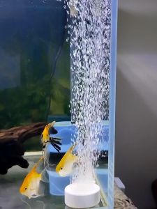 Đĩa sủi oxi nano siêu mịn nhiều kích thước