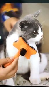 BOB PET Dog Cat Hair Removal Comb Brush Plastic Pet Grooming Products Brushes Accessories Cleaning Combs