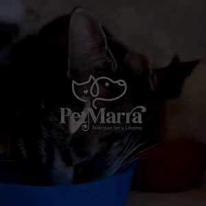 375g PetMarra Real Meat Adult Cats All Breeds Natural Meat Loaf Wet Can Food Pet Food Essentials