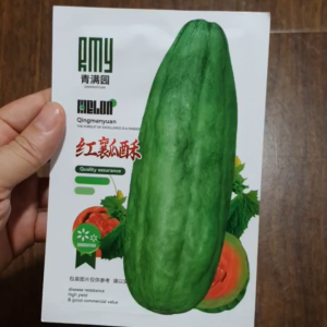 Hạt giống dưa gang nhập khẩu ruột đỏ vỏ xanh siêu dễ trồng -shop Hoang My food and beauty