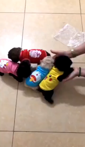 Cute Cartoon Pet T-Shirt Kucing Arnab Comel Cat Dog Clothes Soft Cotton Baju Haiwan