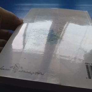 เรื่องของสองหัวใจ จากความรู้สึกดี...ที่เรียกว่ารัก ชุด พิเศษ ผู้เขียน Yayoi