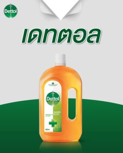 Dettol 250 มล. [1 ขวด] KK 2102 เดทตอล น้ำยาทำความสะอาดพื้นผิว น้ำยาฆ่าเชื้อโรค เอนกประสงค์