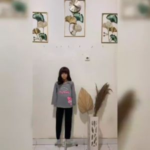 Atasan anak perempuan Lengan Panjang Terbaru 2024 / Atasan Melina Kids 3-14 Tahun Matt Babyterry