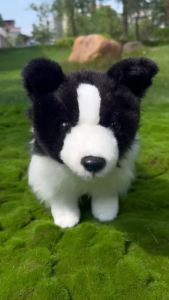 Đồ Chơi Thú Nhồi Bông Border Collie 11.8 Inch Chất Liệu Bông PP Mềm Mại Quà Tặng Cho Bé Trai & Bé Gái Phù Hợp Mọi Lứa Tuổi Chủ Đề Động Vật Tự Nhiên