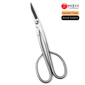 Standard Grade 210 mm Long Handle Bonsai Scissors 3Cr13 Alloy Steel Bonsai Tools