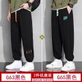 Loose Fit Sporty Sweatpants for Men Summer New Style plus Size Comfortable Casual Long Trousers Baggy Harlan Pants with Pockets. 