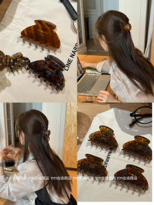 Acetate Shark Hair Clip Womens Half Updo Hair Accessories Lightweight Universal Fashionable Hair Grips for Daily Use