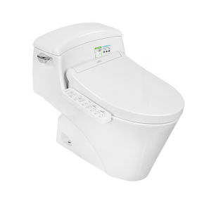 Intelligent Warm Water Flush and Drying Odor Removal Toilet