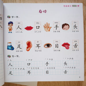 Childrens Pre-School Chinese 800 Questions Large Class Upgraded to First Grade Chinese Enlightenment Reading Literacy Kindergarten Large Class Immature Curriculum Transition Writing and Reading Teaching Materials Enter Primary School to Practice Words Tr