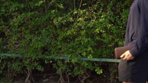 Nicpro 20PCS Metal Mechanical Pencil Set in Leather Case: A Comprehensive Guide