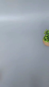 Wespro Yolanda Sandal Japit Wanita Eva Ringan Korea Sendal Jepit Cewek outsole 9cm 35-40