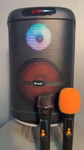 Speaker BTS-2101 Brodu 8 Inch Bluetooth Speaker with 2 Rechargeable Wireless Microphone