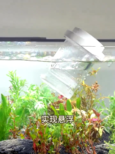 กล่องแยกปลา กล่องฟักลอย กล่องแยกพันธุ์ปลา กล่องฟักไข่ปลาที่ลอยได้ ปลากัด ปลาหางนกยูง