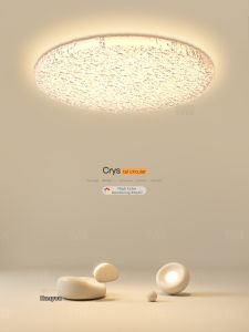 Luxury and Minimalist Ceiling Light