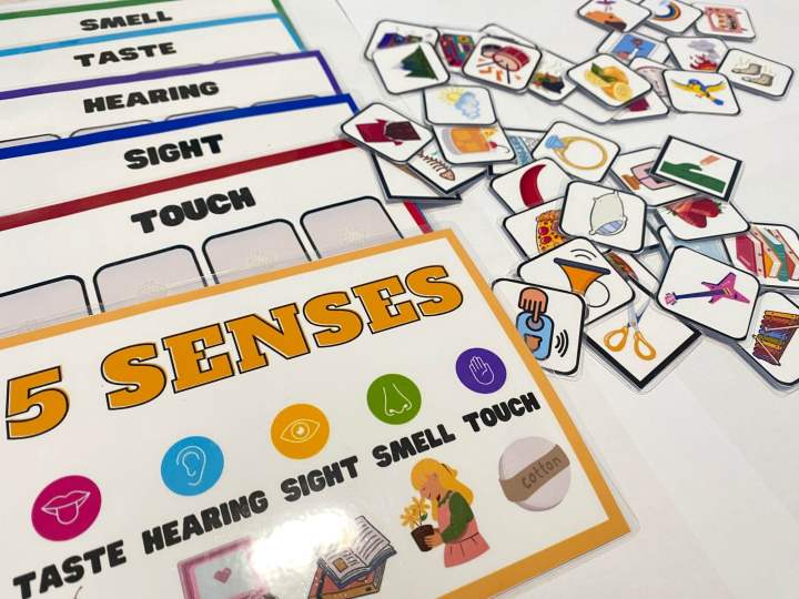 5 Senses Worksheet (Laminated) | Lazada PH